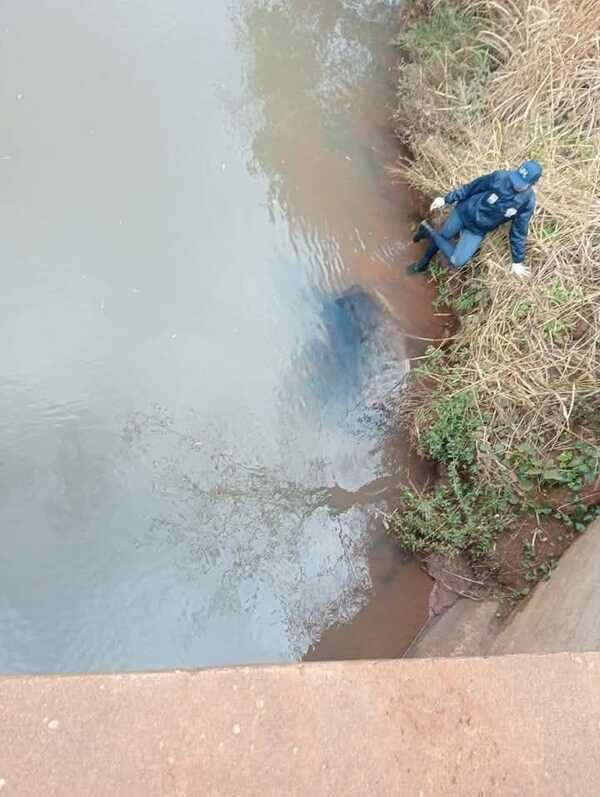 San Pedro del Paraná: encuentran dos cuerpos ejecutados - trece