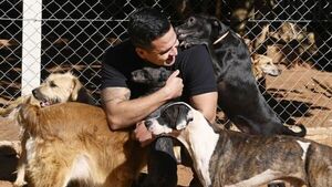 Rescatar, prevenir, educar: el camino hacia una convivencia responsable con las mascotas