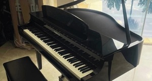 Senabico subastará bienes desde un piano hasta inmuebles