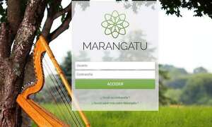 DNIT suspenderá mañana servicios de Marangatu y de Sofía - Economía - ABC Color