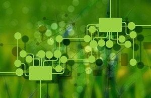 ¿Cómo contribuyen las plataformas de casinos digitales con el medio ambiente? - trece