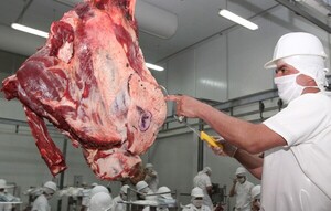 Para abaratar la carne, se debe producir más, afirmó el presidente