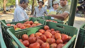 Importadora frutihortícola cuestiona uso político del Senave: “Solo nos escuchan cuando salimos a la calle”