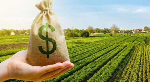Paraguay no necesita un impuesto al carbono