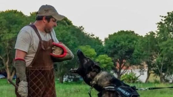 Adiestramiento: cuándo y cómo empezar a educar a tu perro