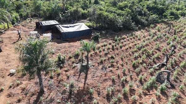 Parque Nacional Paso Bravo sigue siendo utilizado por narcotraficantes - Nacionales - ABC Color