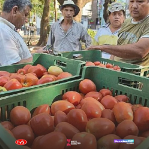 Importadores frutihortícolas denuncian uso político del Senave y exigen reglas claras - «TVS DIGITAL»