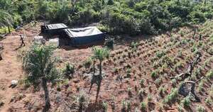 Diario HOY | Toneladas de droga eliminadas en reserva natural Paso Bravo