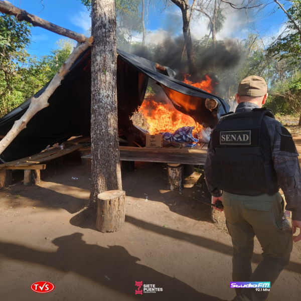 Operación antidrogas en Paraguay: Más de 12 toneladas de cannabis destruidas en el Parque Nacional Paso Bravo - «TVS DIGITAL»