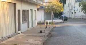 La Nación / Vecinos de Las Mercedes realizan jornada de reforestación