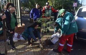 Por un barrio residencial más verde, plantaron 60 árboles en Las Mercedes - Nacionales - ABC Color