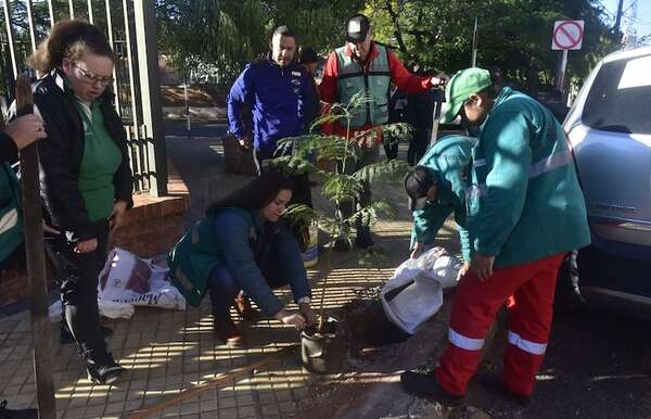 Por un barrio residencial más verde, plantaron 60 árboles en Las Mercedes - Nacionales - ABC Color