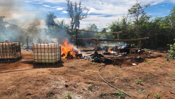 Senad destruye más de 12 toneladas de marihuana y desmantela campamentos en Parque Nacional Paso Bravo