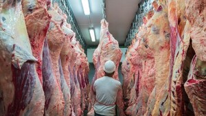 Faena de junio superó promedio histórico y confirma crecimiento