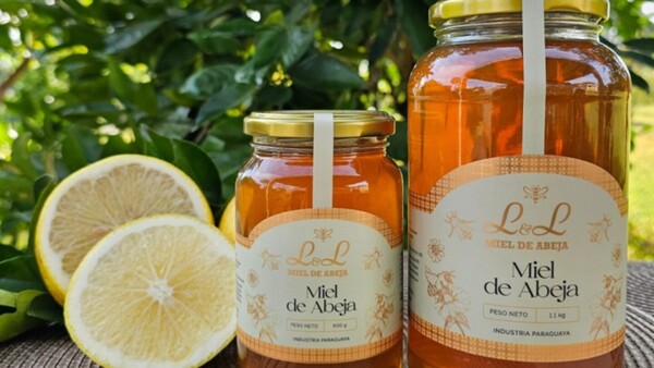 Pasó del miedo a las abejas a vender panales de miel