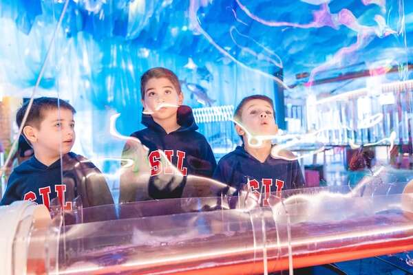 Invitan a unas vacaciones científicas en el Museo de Ciencias - Ciencia - ABC Color