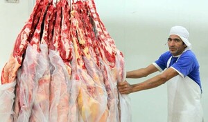 Peña inaugura la EXPO Paraguay 2025. La ocasión para hablar