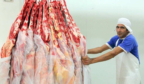 Peña inaugura la EXPO Paraguay 2025. La ocasión para hablar