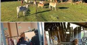 La Nación / Recuperan 26 animales vacunos que serían robados