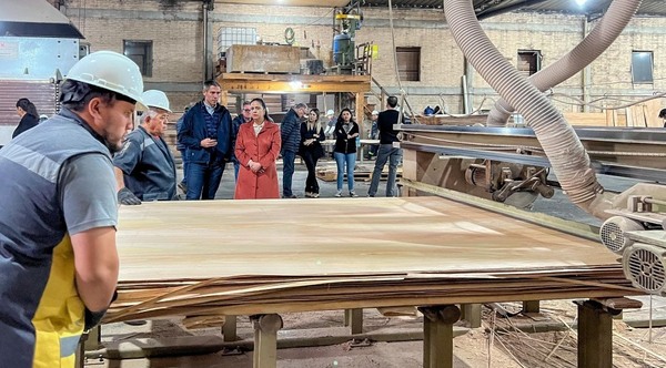 MIC e INFONA visitan industrias del sector forestal