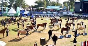 Salen más campeones de genética premium en la Expo Paraguay