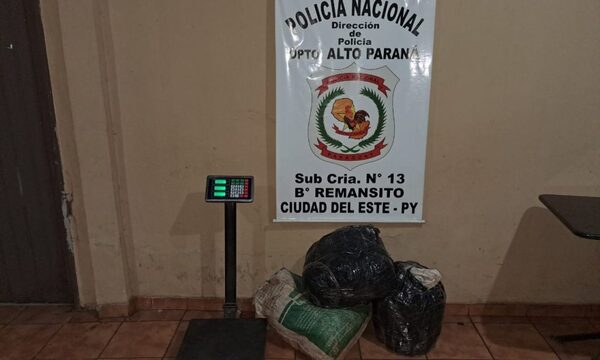 Hallan marihuana en Remansito