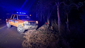 Motociclista embiste contra un árbol y pierde la vida en Ypacaraí