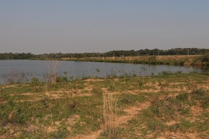 Investigan presunto daño ambiental en planta de tratamiento de ESSAP en Coronel Oviedo