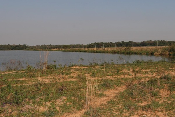 Investigan presunto daño ambiental en planta de tratamiento de ESSAP en Coronel Oviedo