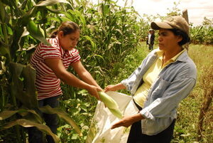 Paraguay ser谩 sede del 1er Encuentro Internacional de Mujeres Protagonistas del Agro