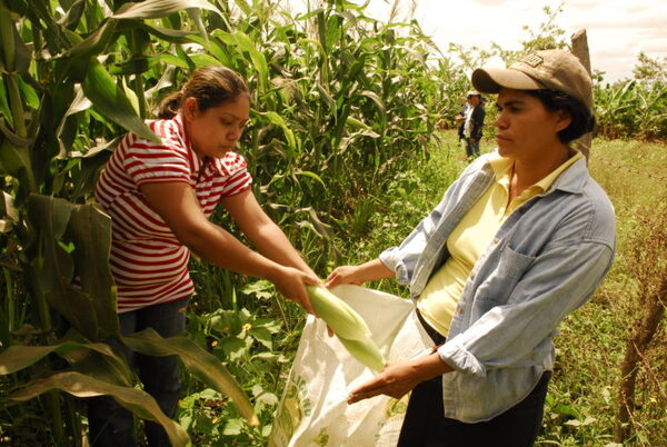 Paraguay ser谩 sede del 1er Encuentro Internacional de Mujeres Protagonistas del Agro