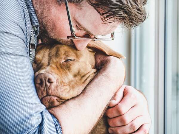 ¿Tu mascota está triste? Así viven el duelo perros y gatos tras la pérdida de otro animal - Mascotas - ABC Color