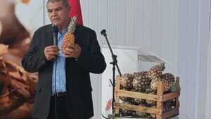 Resaltan impacto de la piña en la agricultura familiar