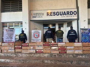 Incautan 900 kilos de tomate sin documentación en Encarnación