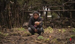 Crónicas de resistencia del pueblo nivaclé | Pausa