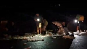 Obligado: Camión vuelca tras perder el control y vecinos llevan bebidas que transportaba