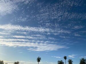 Martes cálido con cielo parcialmente nublado