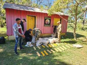 Incautan más de 230 kilos de marihuana en vivienda de Yby Yaú - Policiales - ABC Color