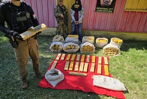 Incautan 240 kilos de marihuana destinado al microtráfico de la zona norte del país - .::Agencia IP::.