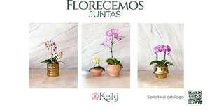 Keiki celebra el Día de la Amistad con su nueva campaña “Florecer Juntas”