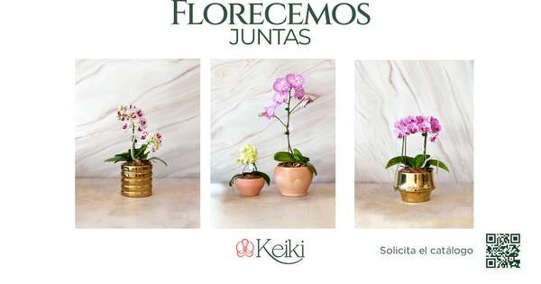 Keiki celebra el Día de la Amistad con su nueva campaña “Florecer Juntas”