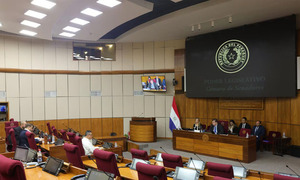 Senado debate mañana la creación de nuevos feriados fijos y móviles - OviedoPress