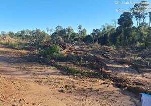 Fiscalía indaga posible deforestación ilegal en San Juan Nepomuceno - PDS RADIO Y TV