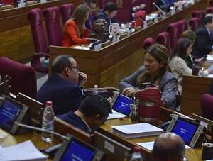 “Aplanadora del bien” cartista en Diputados permite que Opaci, siga metiendo mano al bolsillo del ciudadano - Política - ABC Color