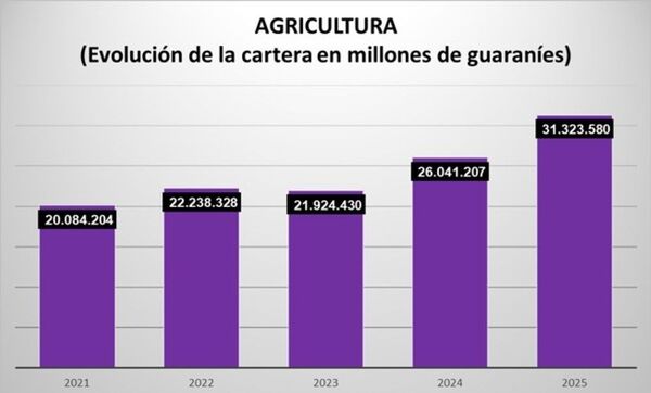 El financiamiento a la agricultura aumentó 56% en 5 años