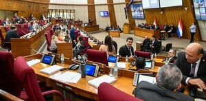 La Cámara de Diputados sanciona una ley que ayudará a Concepción
