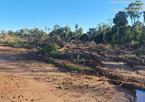 Investigan posible deforestación en Caazapá