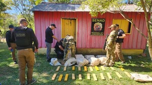 Incautan más de 240 kilos de marihuana durante allanamiento en Yby Yaú