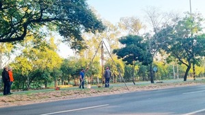 Trabajos preliminares para duplicación de Tape Tuja