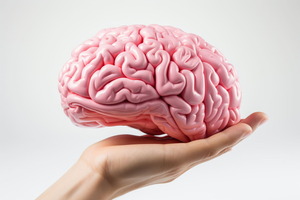 Día Mundial del Cerebro: un llamado a cuidar la salud cerebral en todas las etapas de la vida